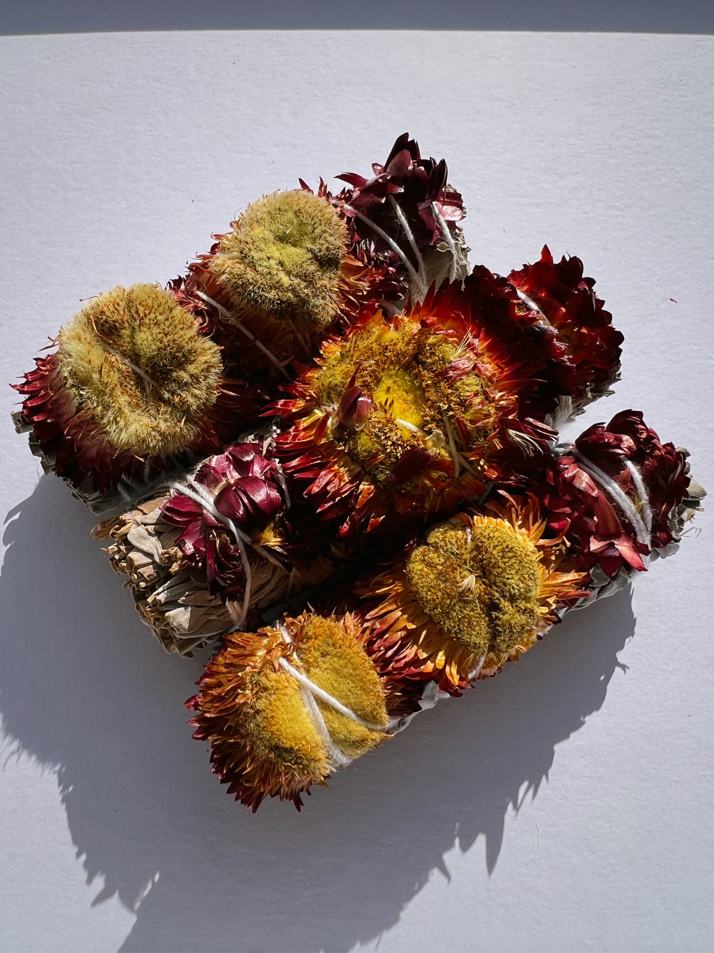 Sauge blanche de Californie avec des fleurs rouges séchées - purification énergétique et énergie passionnée.